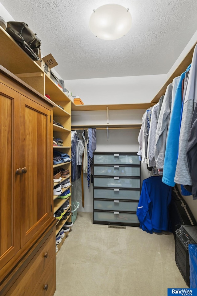 spacious closet with light colored carpet