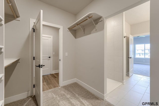 5406 N 196th St, Elkhorn, NE 68022 - walk in closet with light carpet