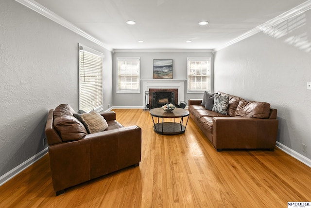 living room with crown molding, baseboards, wood finished floors, and a fireplace