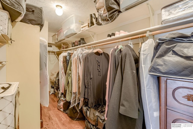 30238 Nixon Dr, Honey Creek, IA 51542 - walk in closet with light wood-style flooring