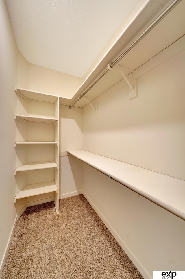 walk in closet featuring light colored carpet