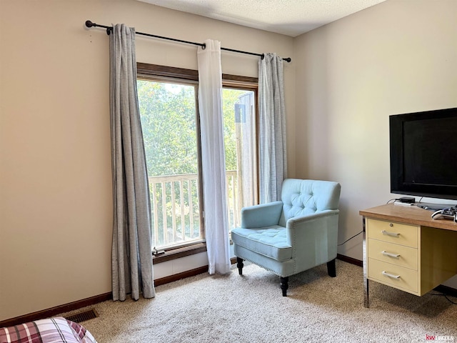 2219 Southwood Pl, Lincoln, NE 68512 - sitting room featuring baseboards and light colored carpet
