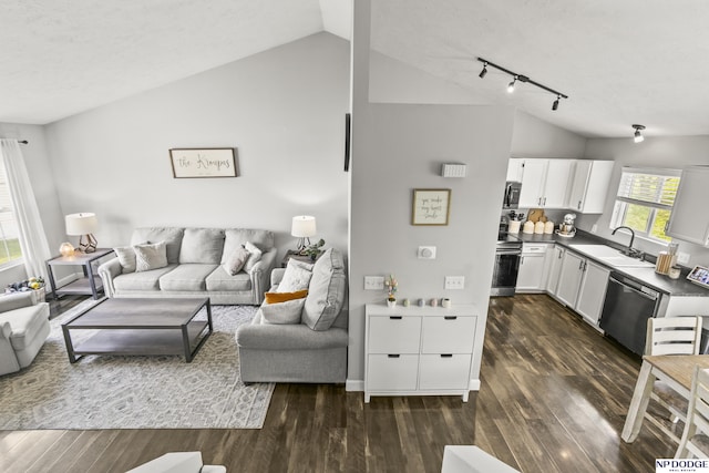 living area with a textured ceiling, vaulted ceiling, rail lighting, and dark wood-style floors
