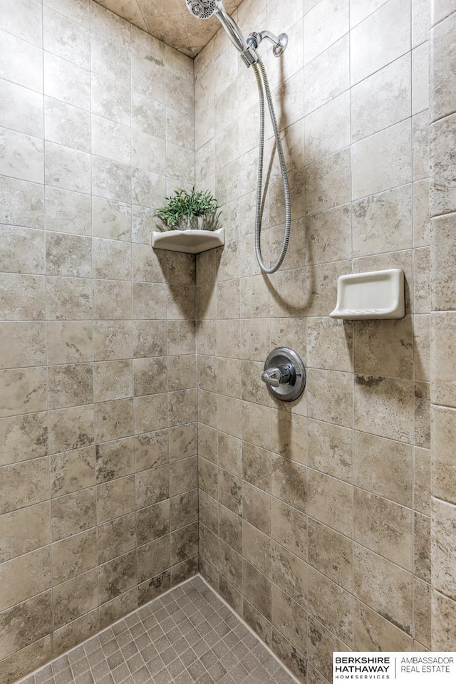 full bathroom with a tile shower