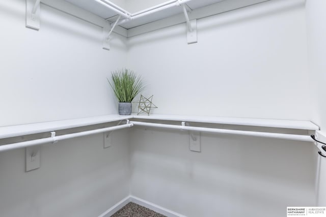 view of walk in closet