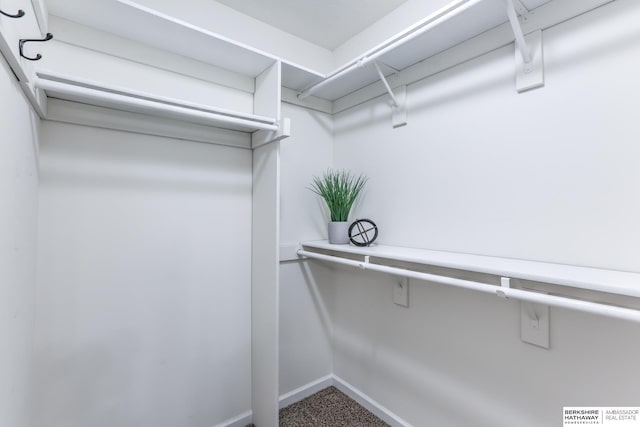 view of spacious closet
