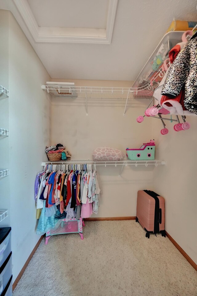 walk in closet featuring carpet flooring