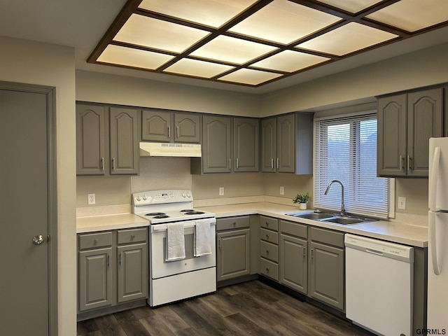 kitchen with under cabinet range hood, gray cabinets, a sink, white appliances, and dark wood-style flooring