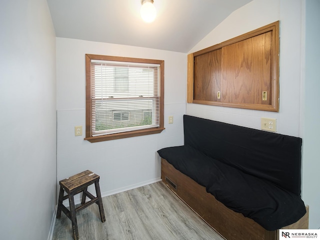 1029 Rose St, Lincoln, NE 68502 - living area with lofted ceiling and light wood-style floors