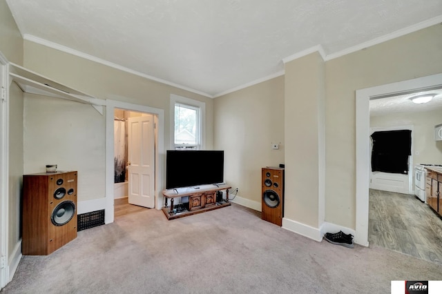 2103 A St, Lincoln, NE 68502 - living room featuring carpet flooring, baseboards, and ornamental molding