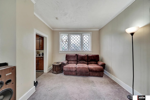 2103 A St, Lincoln, NE 68502 - carpeted living room featuring crown molding and baseboards