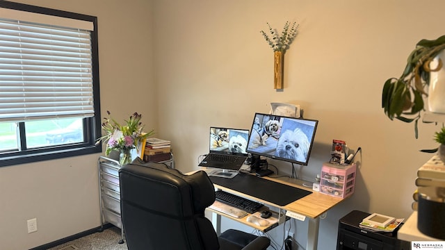 view of carpeted office