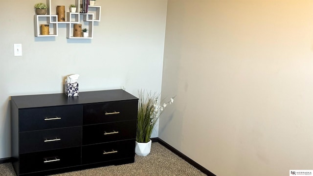 interior details featuring baseboards and carpet