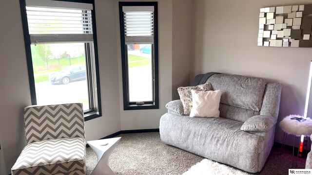 sitting room featuring baseboards and carpet flooring
