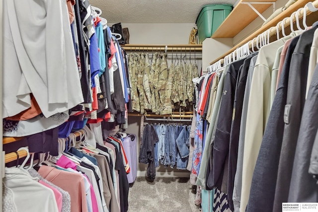walk in closet with carpet flooring