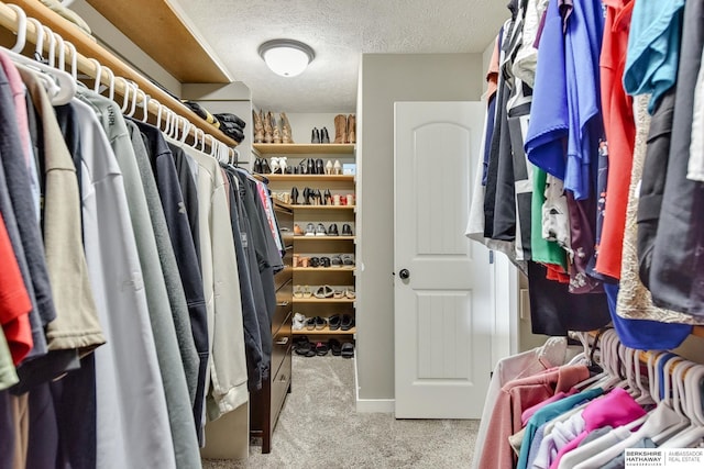 walk in closet with carpet floors