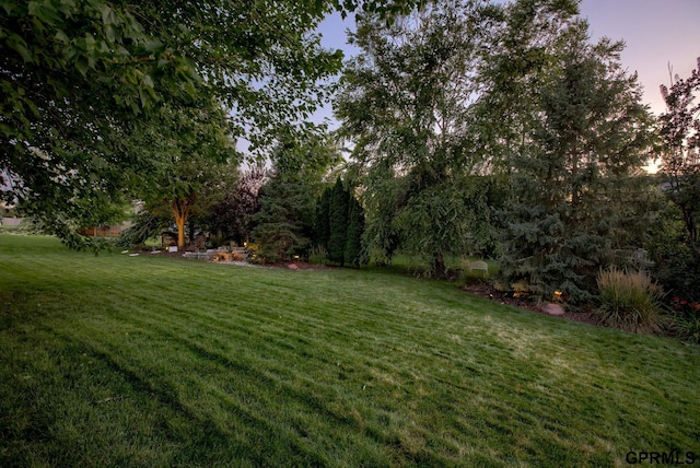 view of yard