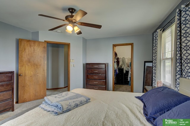 carpeted bedroom featuring a walk in closet, ceiling fan, and a closet
