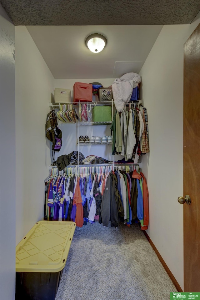 walk in closet with carpet flooring
