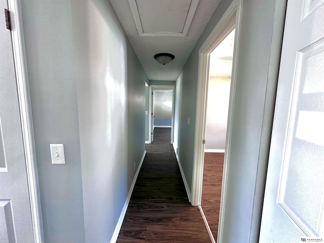 hallway featuring baseboards and dark wood-style floors