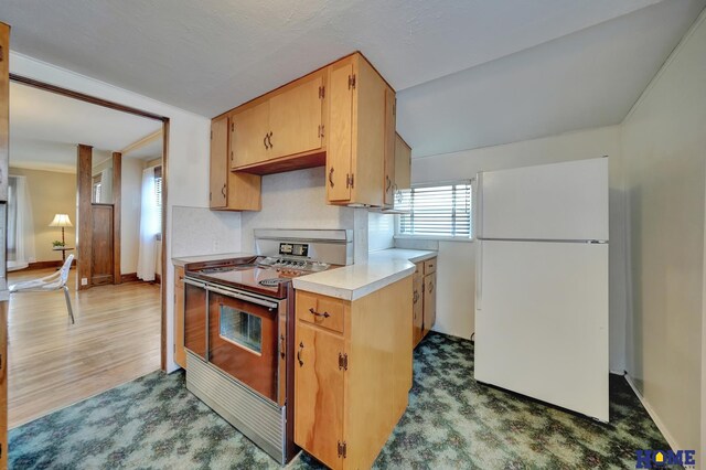 kitchen featuring wood finished floors, stainless steel range with electric cooktop, light countertops, baseboards, and freestanding refrigerator