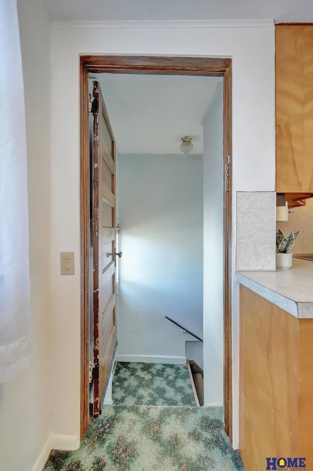 hall featuring baseboards and carpet flooring