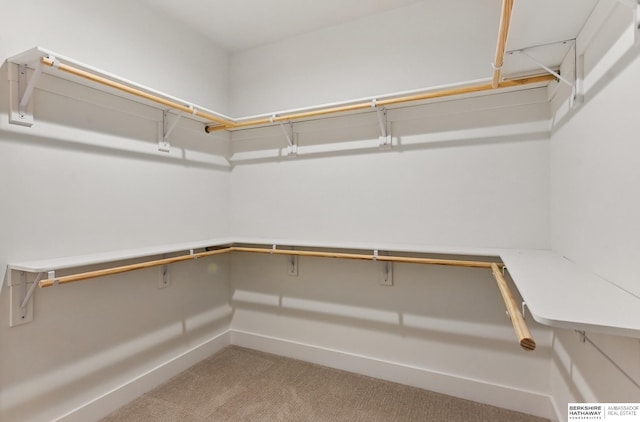 16951 Benjamin St, Bennington, NE 68007 - walk in closet featuring carpet