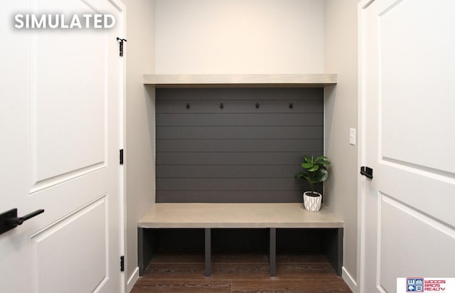 mudroom with dark wood-type flooring