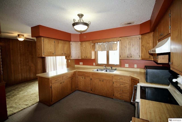 103 Francis St, Daykin, NE 68338 - kitchen with white range with electric cooktop, a sink, under cabinet range hood, carpet, and a peninsula