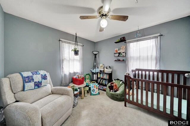 3317 N 9th St, Lincoln, NE 68521 - carpeted bedroom with a ceiling fan