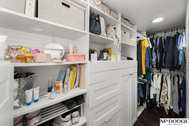 spacious closet featuring dark wood-style floors