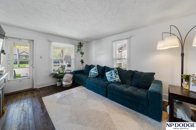 living area featuring hardwood / wood-style flooring, baseboards, a healthy amount of sunlight, and a textured ceiling