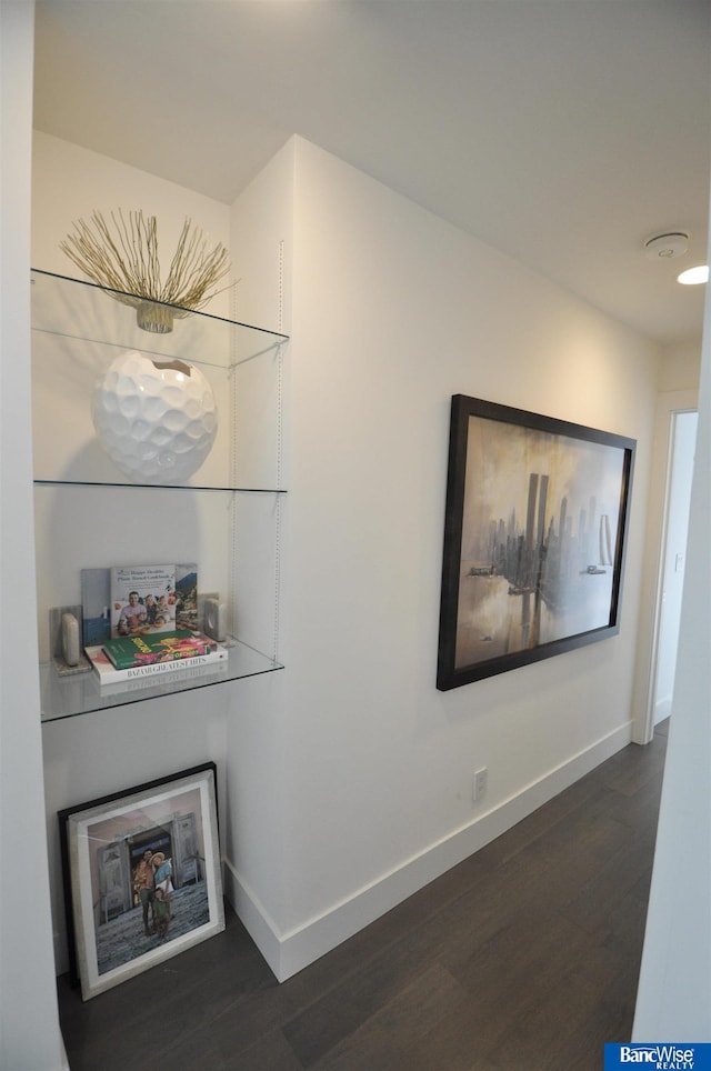 room details with baseboards, wood finished floors, and a fireplace