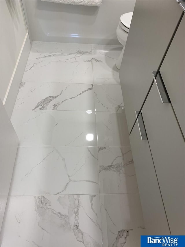 details with toilet