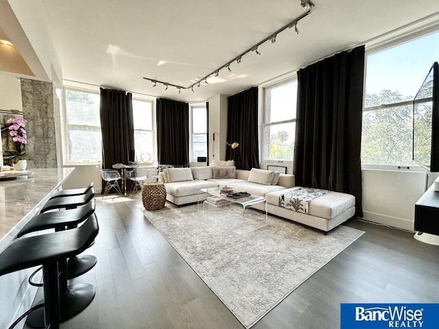 living room featuring track lighting, baseboards, a healthy amount of sunlight, and wood finished floors