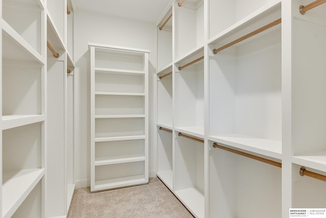 walk in closet featuring light colored carpet