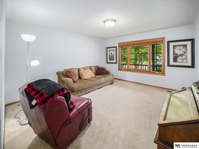 living area with carpet and baseboards