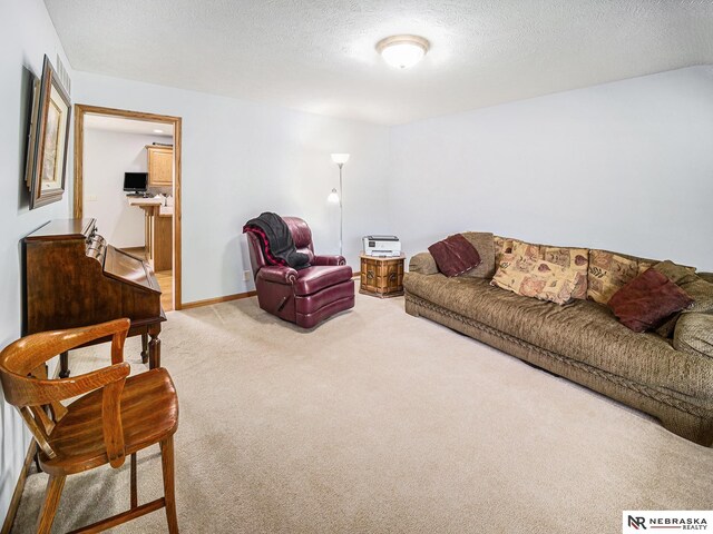 carpeted living area with a textured ceiling