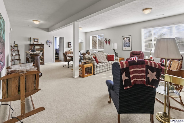 view of carpeted living room
