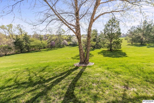 view of yard