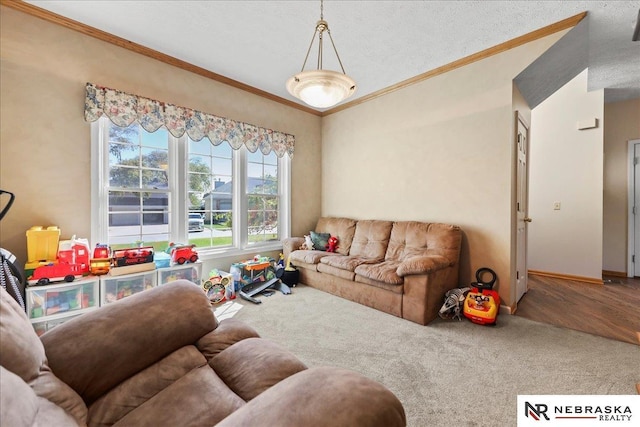 carpeted living area with ornamental molding and a textured ceiling