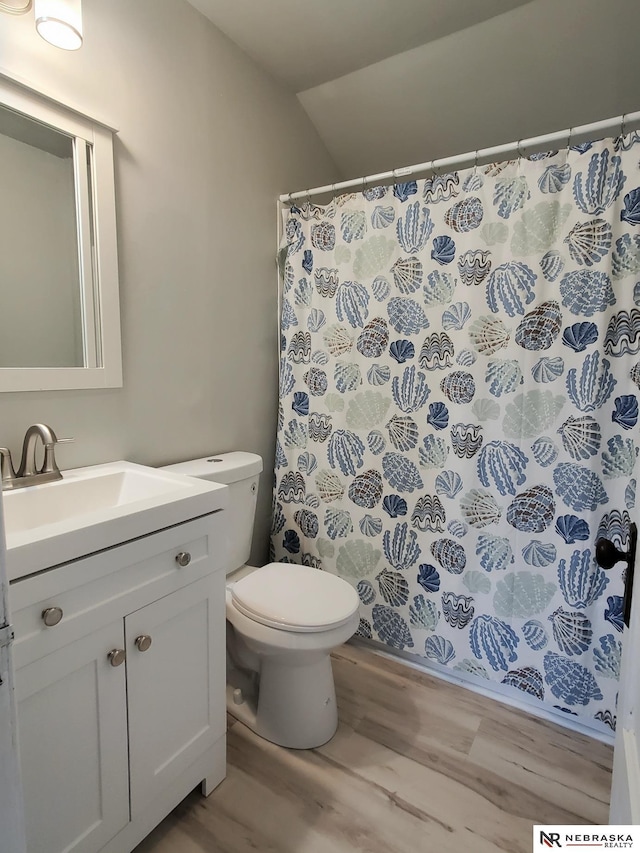 6512 Maple St, Omaha, NE 68104 - bathroom with wood finished floors, vanity, toilet, and a shower with curtain
