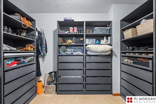 spacious closet featuring light carpet