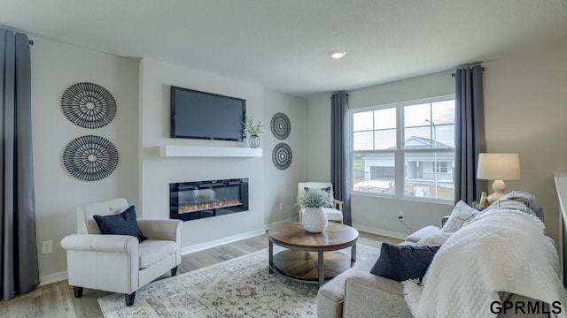 13615 Whitmore St, Omaha, NE 68142 - living room featuring a glass covered fireplace, wood finished floors, and baseboards