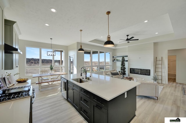 kitchen with a sink, appliances with stainless steel finishes, a raised ceiling, under cabinet range hood, and a ceiling fan