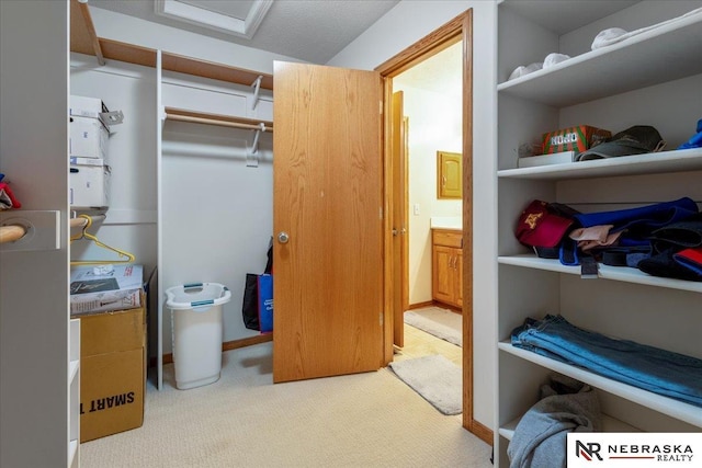 walk in closet with carpet flooring