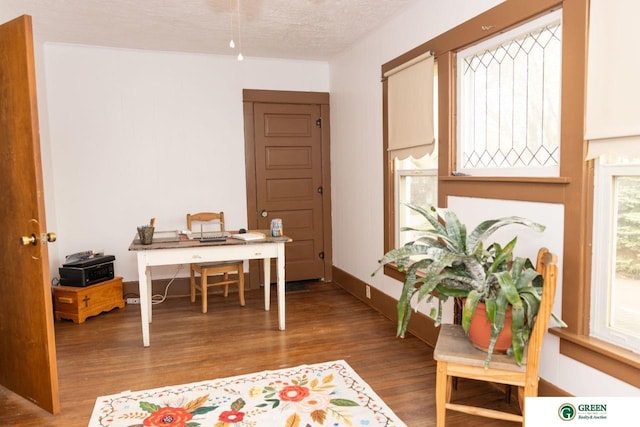 650 E 9th St, York, NE 68467 - office featuring a textured ceiling and wood finished floors