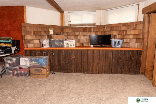 650 E 9th St, York, NE 68467 - view of storage
