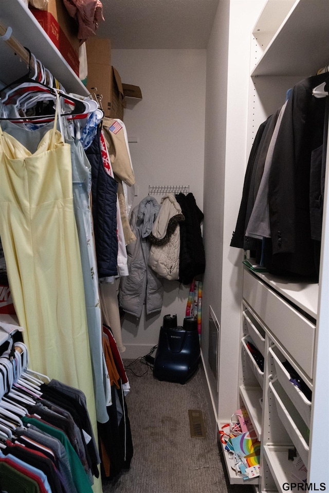 spacious closet with visible vents and carpet