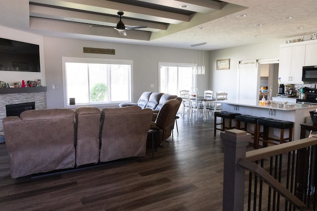 living area with a wealth of natural light, dark wood-style flooring, a ceiling fan, and a fireplace